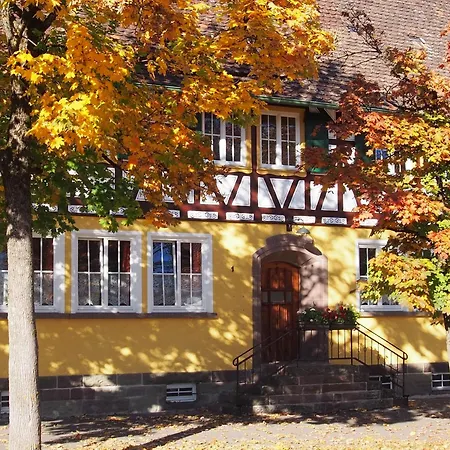 Kanne Honeymoon * Trichtingen